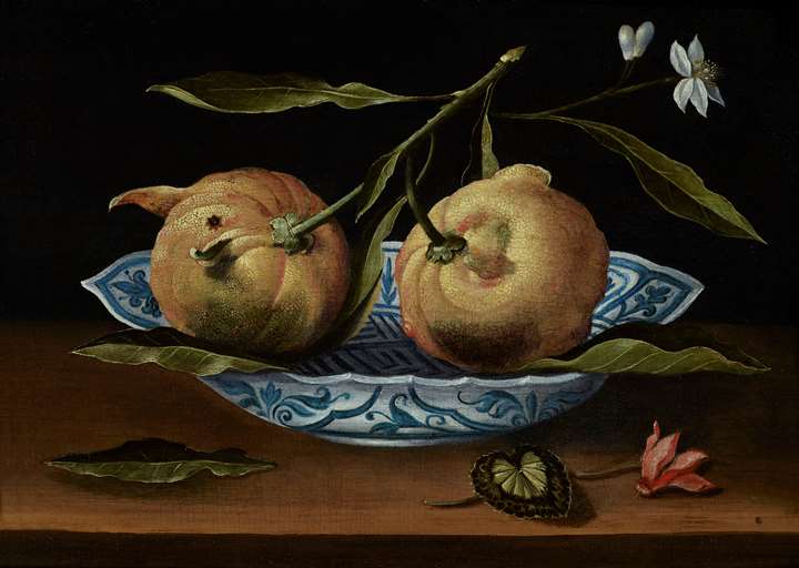 A Still Life of Lemons in a Wan-li Bowl on a Table with a Cyclamen